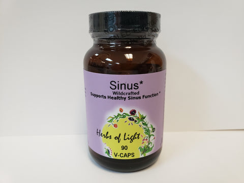 Sinus