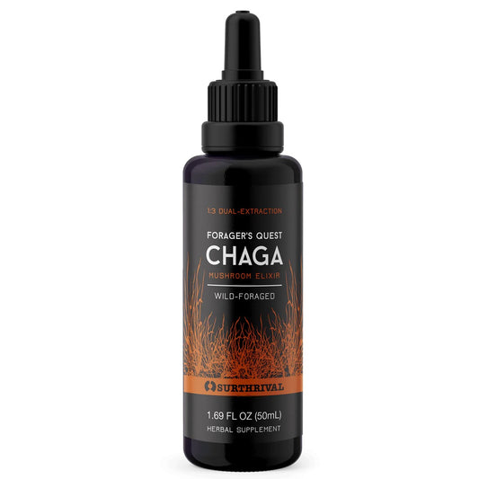 Chaga Extract