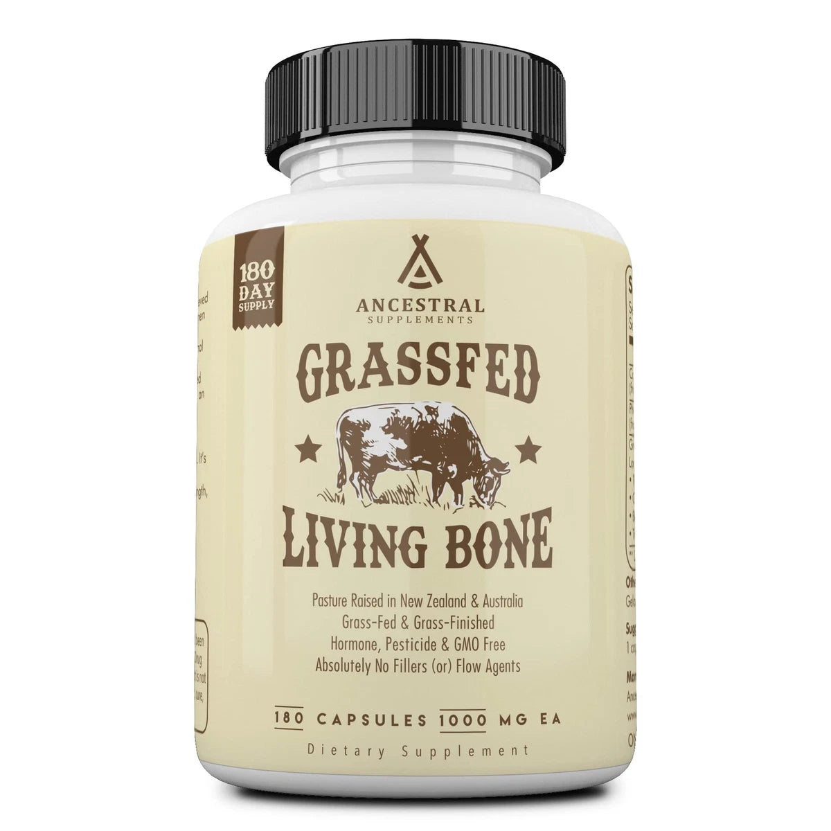 Living Bone